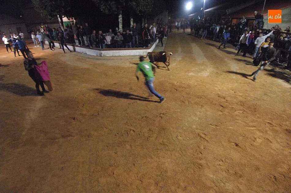 Foto 4 - Las calles de Alba de Yeltes se convierten en un divertido coso taurino