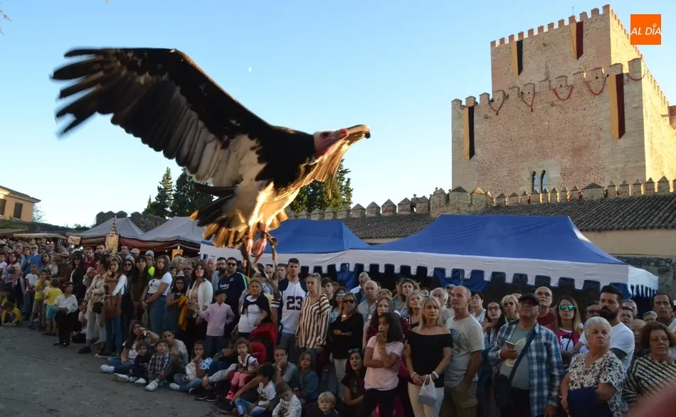 Las Águilas de Valporquero dominan desde las alturas la Plazuela del Castillo  