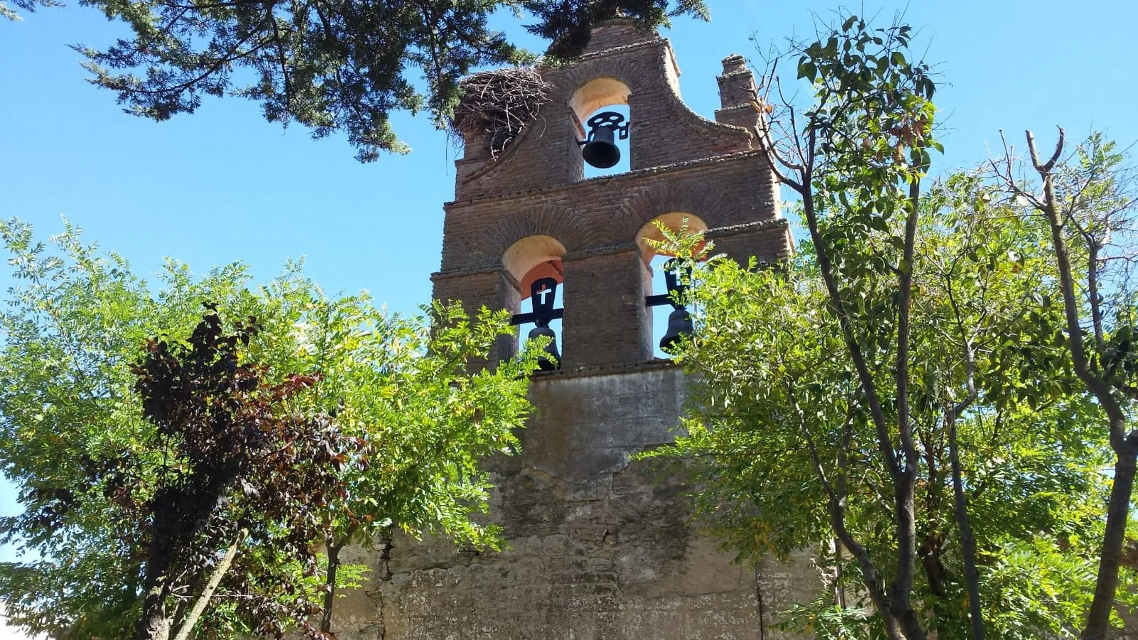 Foto 2 - Los v&iacute;nculos Carmelitas de la familia ganadera Flores Albarr&aacute;n de Navales
