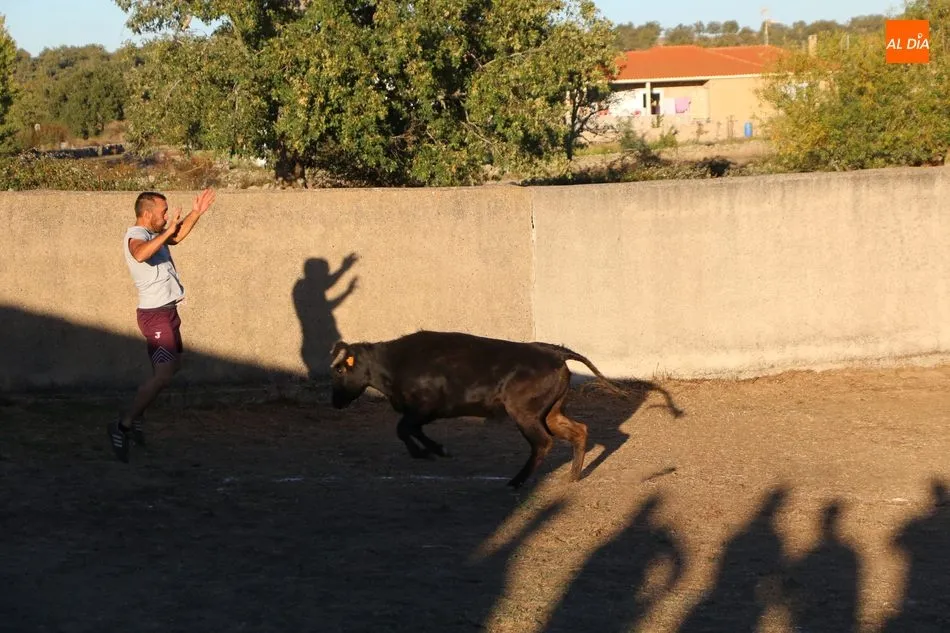 Foto 5 - En Valderrodrigo se despiden de las fiestas con un divertido gran prix y una capea  