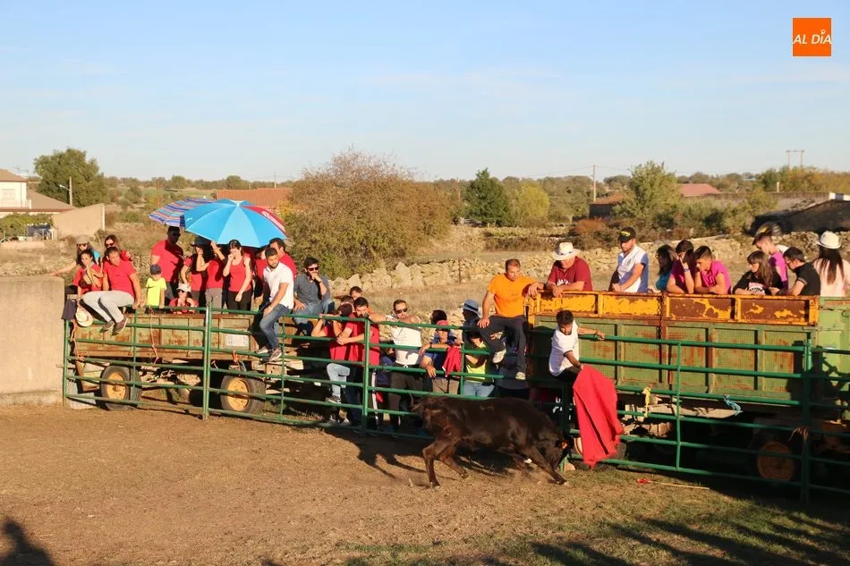 Foto 4 - En Valderrodrigo se despiden de las fiestas con un divertido gran prix y una capea  