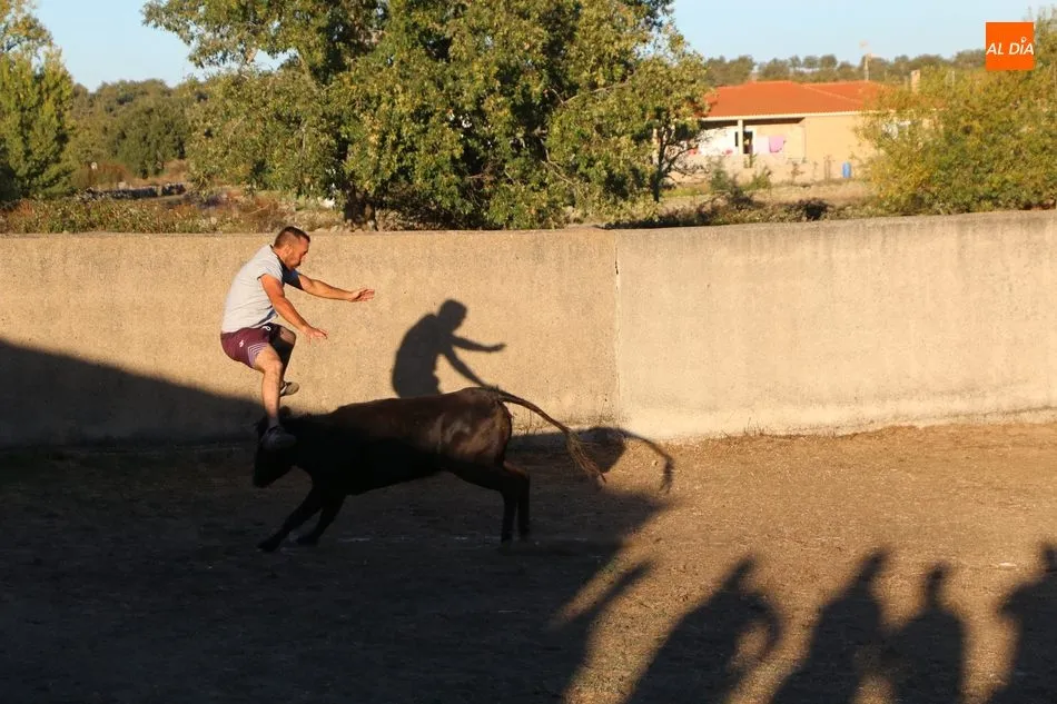 Foto 3 - En Valderrodrigo se despiden de las fiestas con un divertido gran prix y una capea  