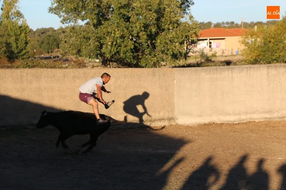 Foto 2 - En Valderrodrigo se despiden de las fiestas con un divertido gran prix y una capea  