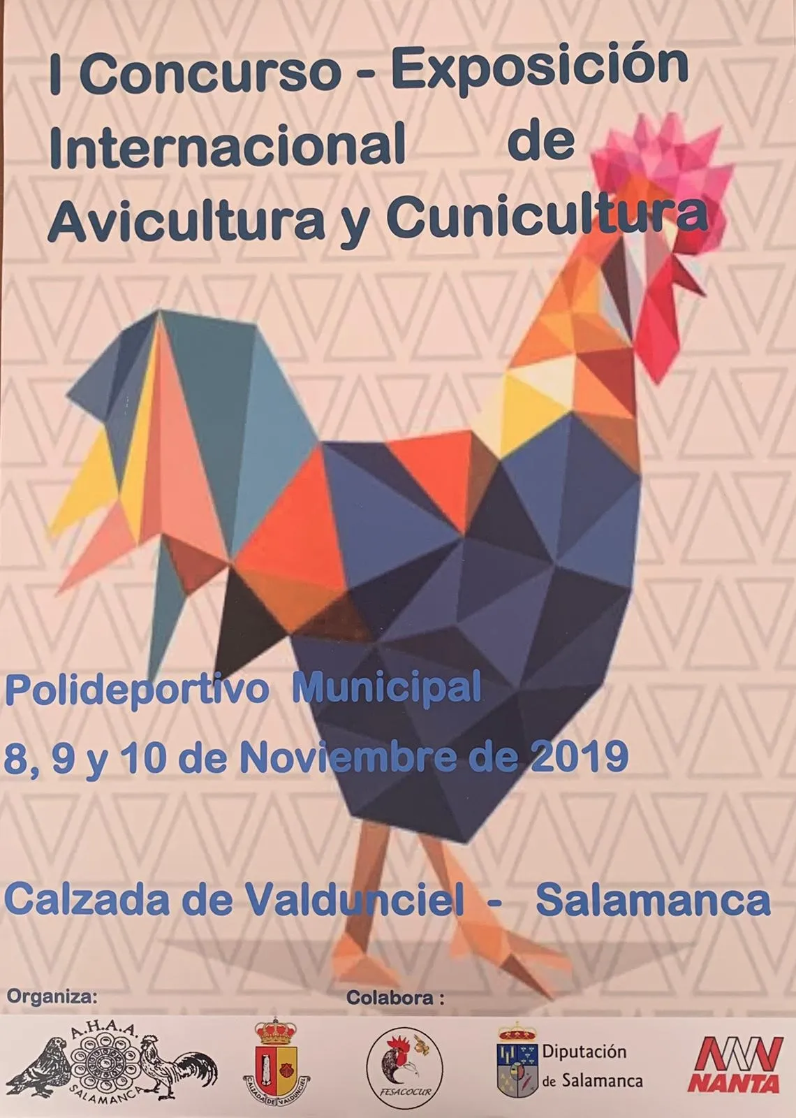 Foto 2 - Calzada de Valdunciel acoger&aacute; el I Concurso-Exposici&oacute;n Internacional de Avicultura y Cunicultura...
