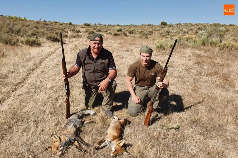 Al menos nos quedarán zorros, única especie que lejos de ir en regresión, sus poblaciones incluso aumentan