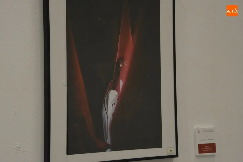 Foto 4 - La fotograf&iacute;a &lsquo;Ambiente&rsquo; de Manuel L&oacute;pez ser&aacute; la imagen del cartel oficial de la Semana...