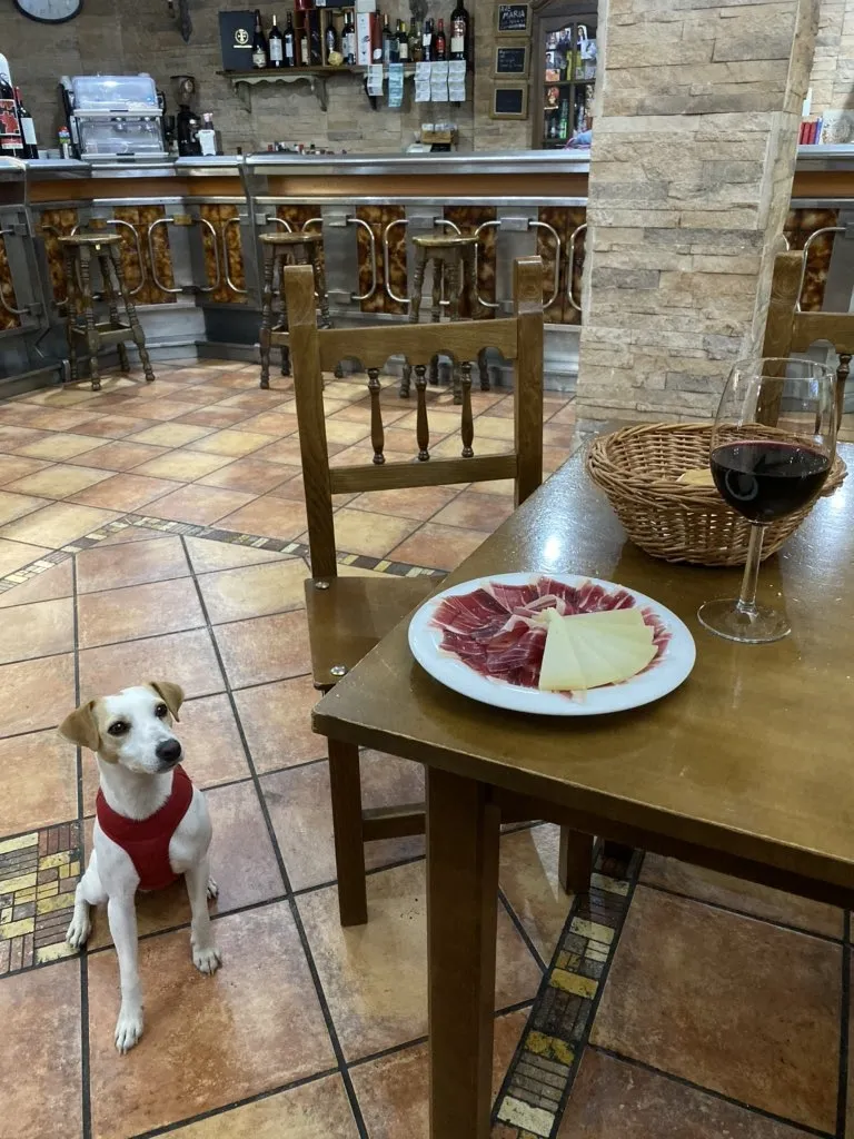 Foto 2 - Pipper, el famoso perro &lsquo;influencer&rsquo;, visita Alba de Tormes, nuevo destino &lsquo;dog friendly&rsquo;...