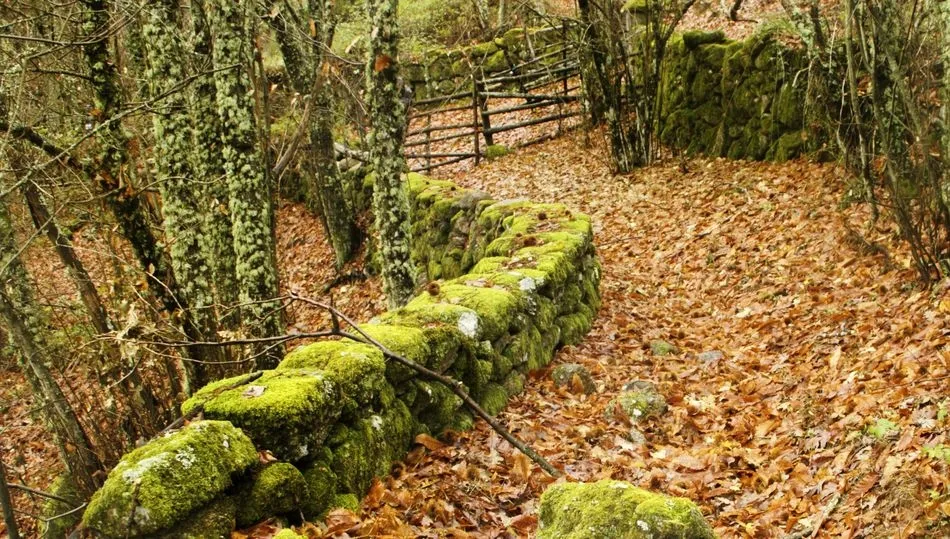 Marcha de Otoño por  los alrededores de Béjar