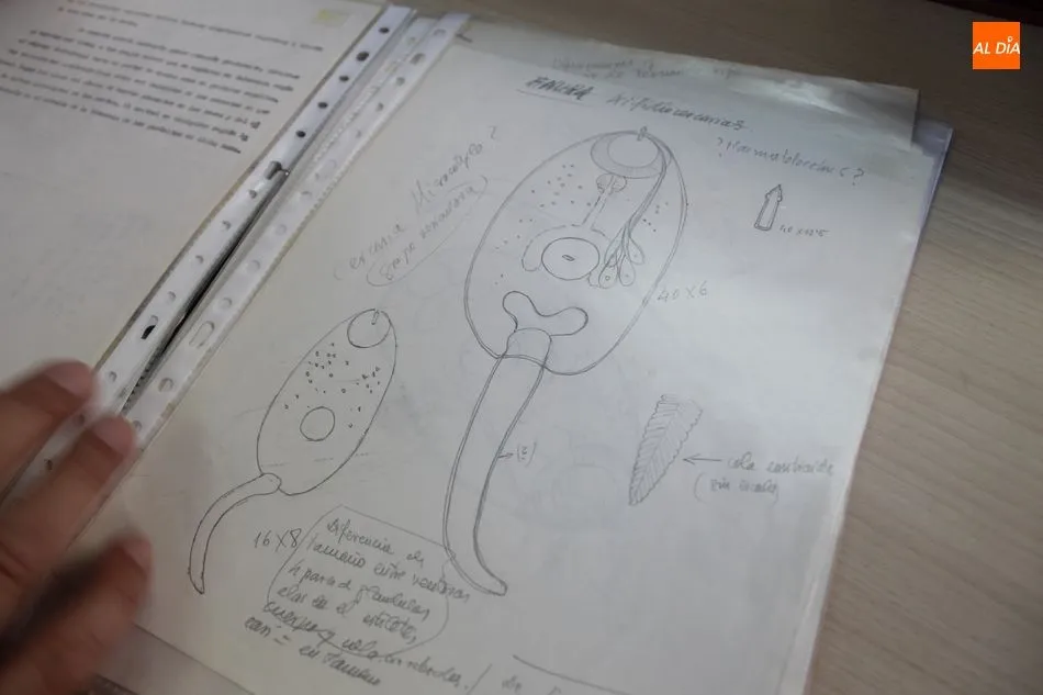 Foto 3 - El legado cient&iacute;fico de un investigador pionero que custodia el Irnasa 