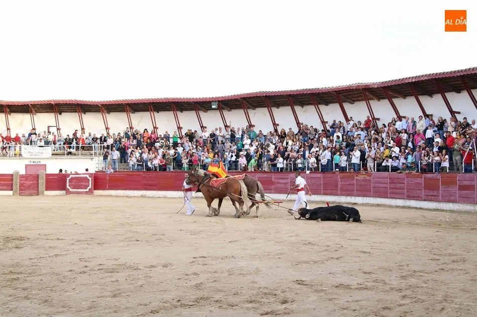 Foto 9 - &Eacute;xito del Festival taurino en Ledesma a beneficio de la Asociaci&oacute;n de Enfermedades Raras de...