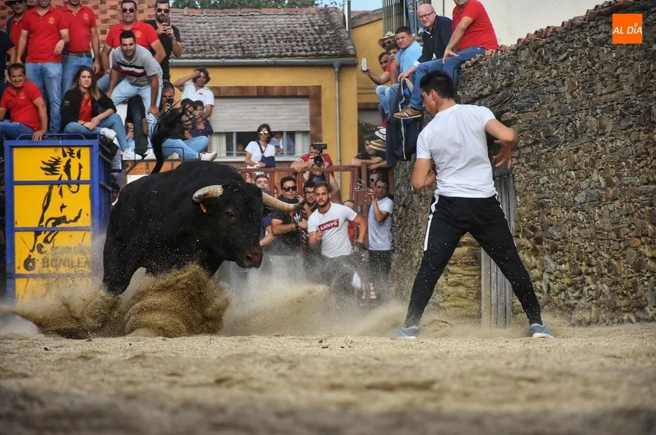 Rosero, de Juan Luis Fraile. Lo mejor de la tarde