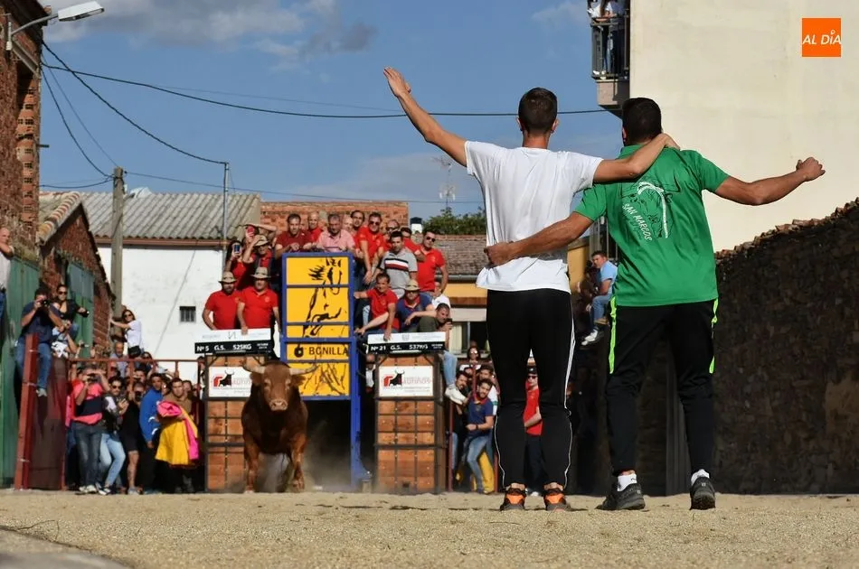 Foto 9 - Rosero, de Juan Luis Fraile, sella un d&iacute;a taurino redondo para la 15 de Octubre