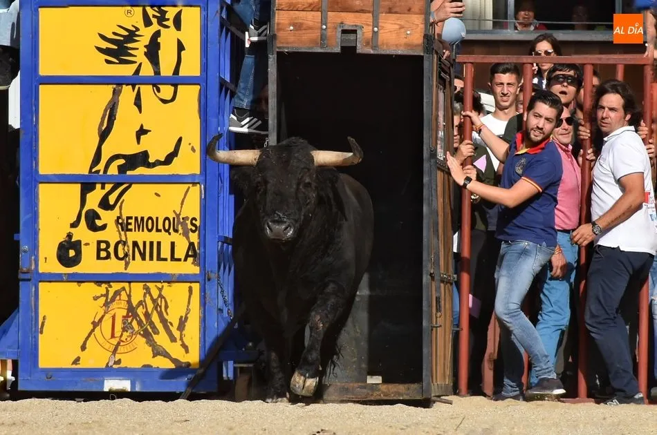 Foto 7 - Rosero, de Juan Luis Fraile, sella un d&iacute;a taurino redondo para la 15 de Octubre