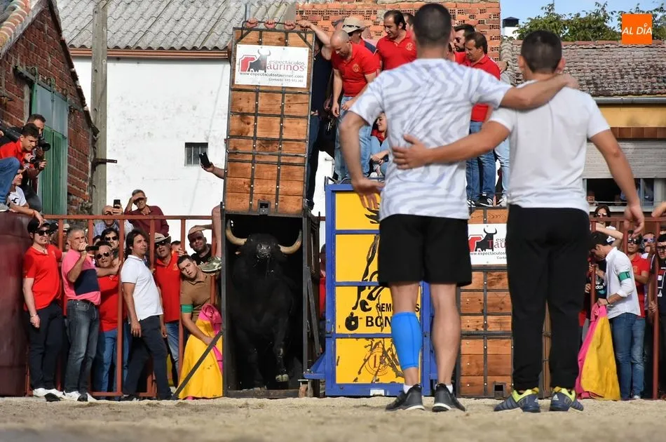 Foto 6 - Rosero, de Juan Luis Fraile, sella un d&iacute;a taurino redondo para la 15 de Octubre