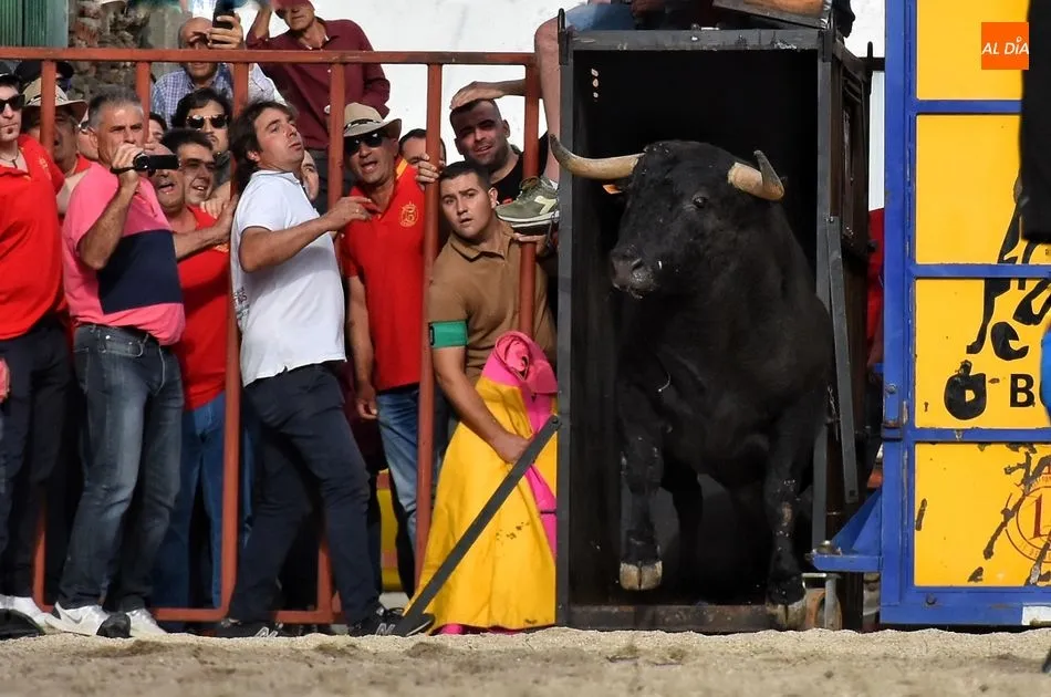 Foto 5 - Rosero, de Juan Luis Fraile, sella un d&iacute;a taurino redondo para la 15 de Octubre