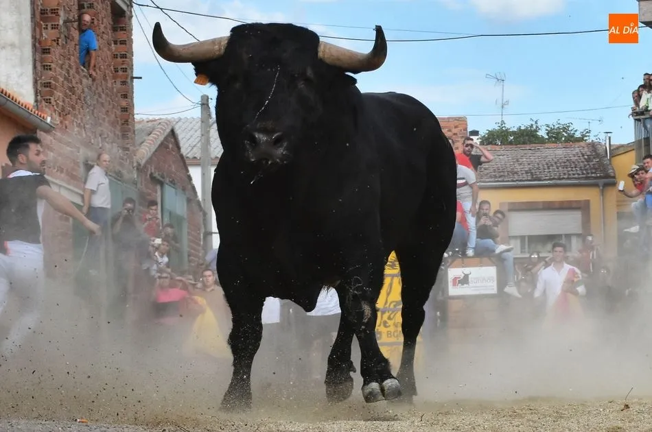 Foto 4 - Rosero, de Juan Luis Fraile, sella un d&iacute;a taurino redondo para la 15 de Octubre