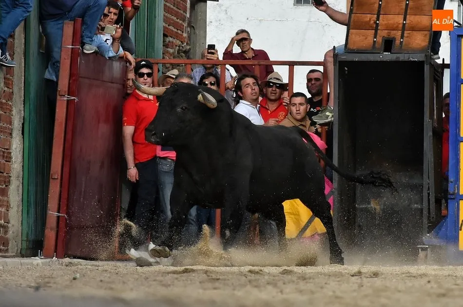 Foto 3 - Rosero, de Juan Luis Fraile, sella un d&iacute;a taurino redondo para la 15 de Octubre