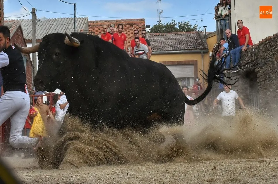 Foto 2 - Rosero, de Juan Luis Fraile, sella un d&iacute;a taurino redondo para la 15 de Octubre