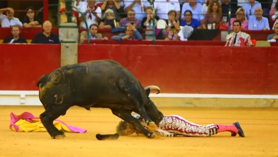Foto 2 - Espeluznantes cornadas en Zaragoza al subalterno Mariano de la Vi&ntilde;a