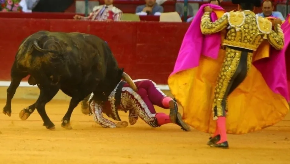 Una de las cornadas sufridas por el subalterno Mariano de la Viña en Zaragoza