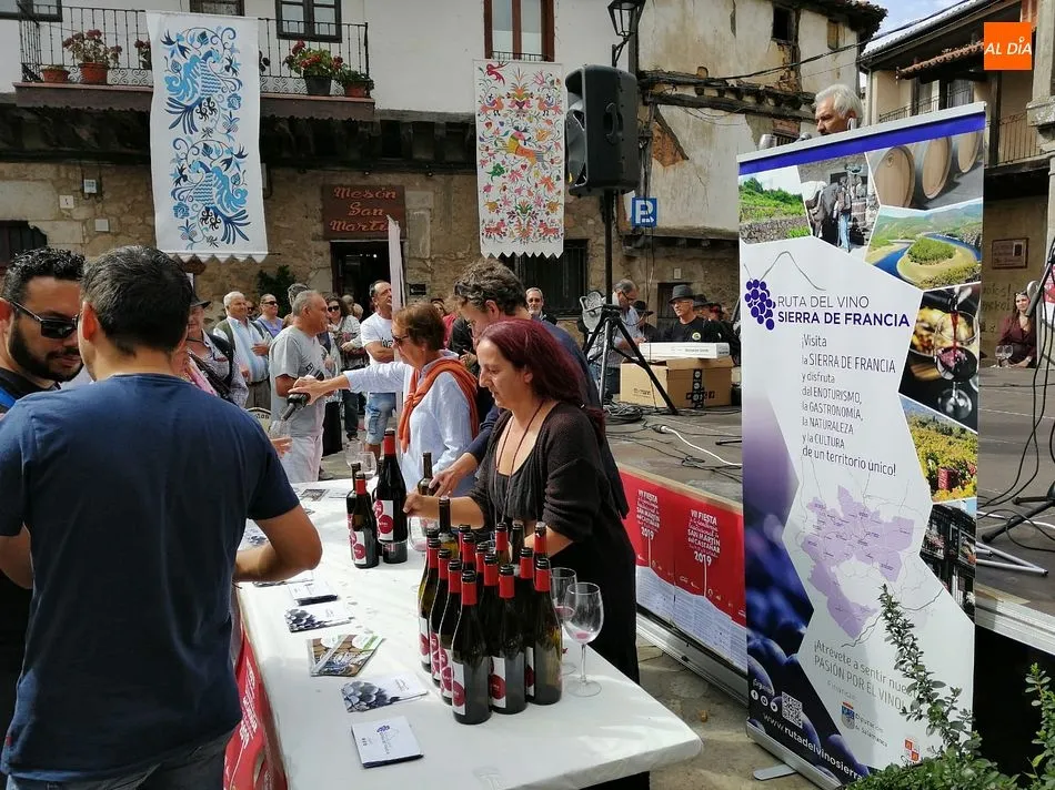 Foto 8 - &Eacute;xito de la VII Fiesta de la Vendimia Tradicional en San Mart&iacute;n del Casta&ntilde;ar