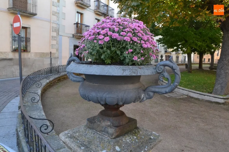 Se han colocado plantas en las macetas de bronce de la Plazuela de San Salvador