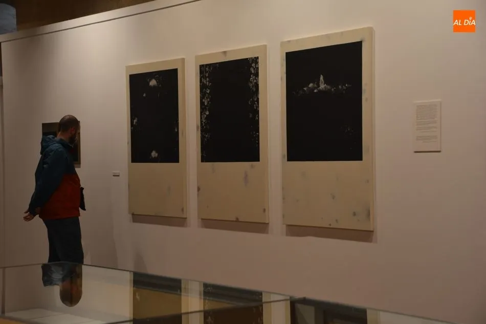 Foto 7 - El Centro Cultural Hispano Japon&eacute;s acoge la muestra de obras pl&aacute;sticas de Manuel Luca de Tena y...