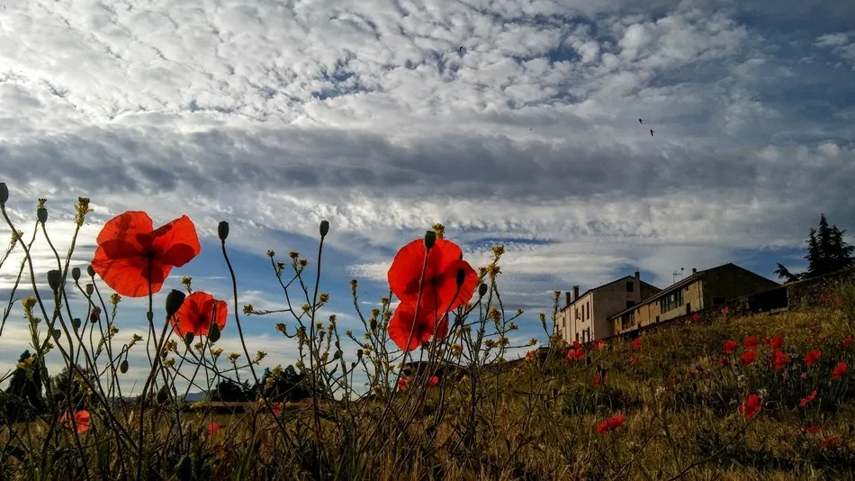 Una fotografía tomada en Ciudad Rodrigo gana un concurso en Bilbao  
