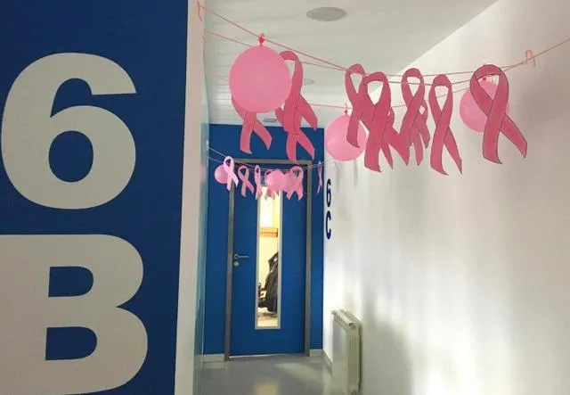 Foto 6 - El colegio Calasanz se &ldquo;viste de rosa&rdquo;  