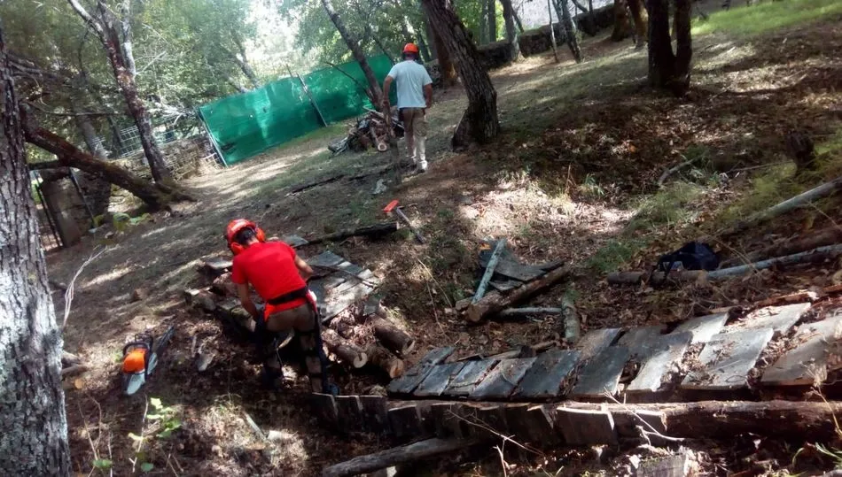 Programa Mixto de Formación y Empleo de Forestales