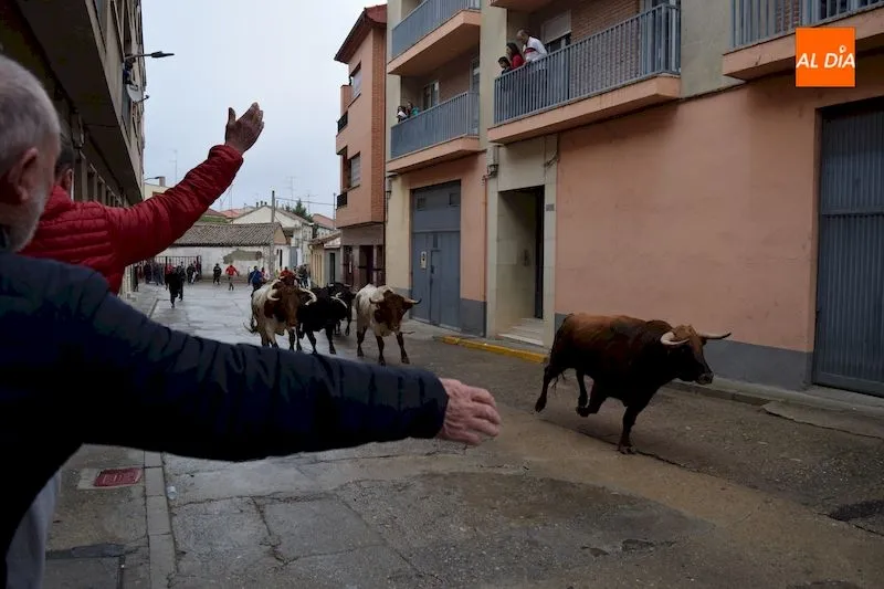 El encierro a su paso por la calle Beltrana / Pedro Zaballos