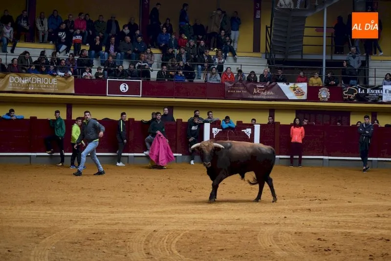 Foto 10 - Alba de Tormes disfruta de su &uacute;ltimo encierro de fiestas bajo la lluvia