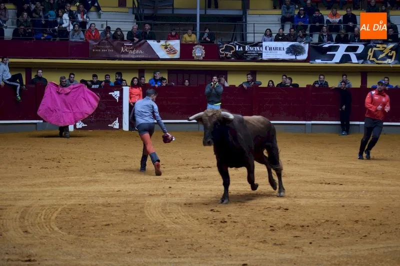 Foto 5 - Alba de Tormes disfruta de su &uacute;ltimo encierro de fiestas bajo la lluvia