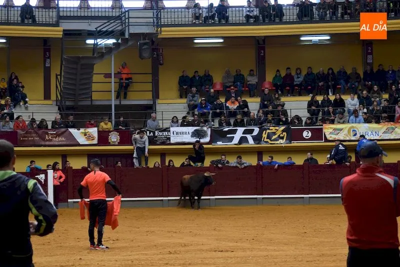 Foto 4 - Alba de Tormes disfruta de su &uacute;ltimo encierro de fiestas bajo la lluvia