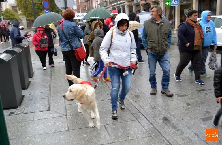 Foto 7 - Ni el fr&iacute;o ni la lluvia pueden con el paso firme de la XII marcha solidaria de Acopedis