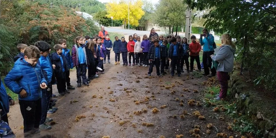 Visita de los alumnos de 3º de Educación Primaria al Parque Natural de Las Batuecas