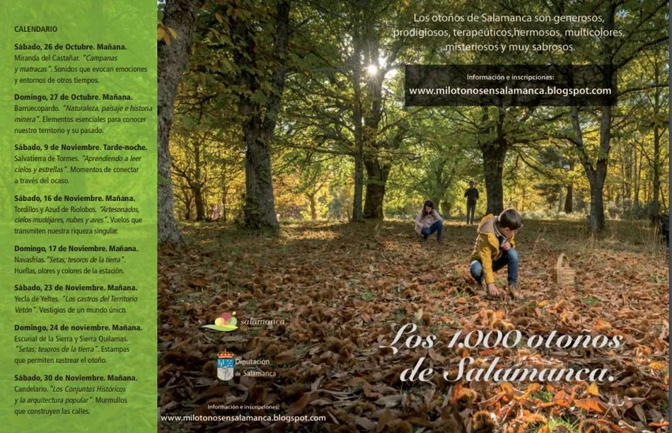 Foto 2 - &lsquo;Los 1.000 oto&ntilde;os de Salamanca&rsquo; propone ocho nuevas actividades para conocer los valores de la ...