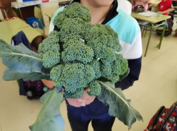 La alimentación saludable y el medio ambiente centrarán un taller en Calvarrasa de Abajo