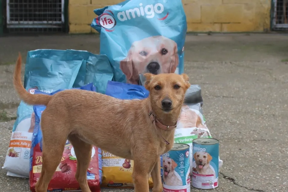 La donación de los clientes ha sido de 70.219 kilogramos, a los que la empresa de distribución ha sumado una aportación propia del 20% de esa cantidad hasta superar los 84.260 kilos