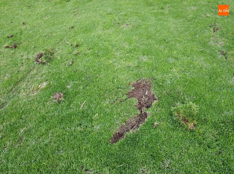 El estado del césped en el último partido