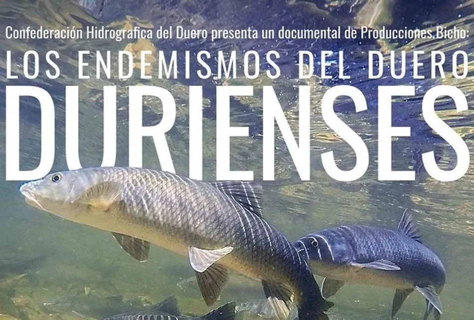Cartel del documental ‘Durienses: los endemismos del Duero’ 