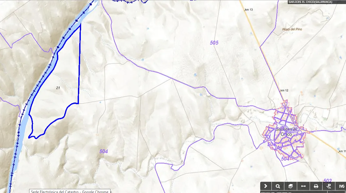 A la izquierda aparece, rodeado por un contorno azul, el terreno de Saelices el Chico que sale a subasta