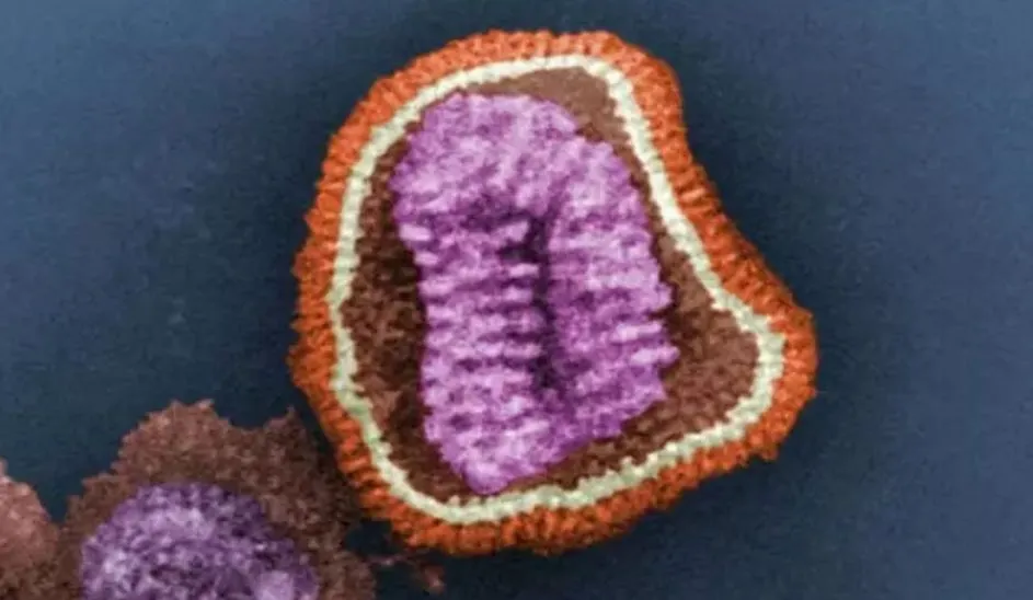 Virus de la gripe