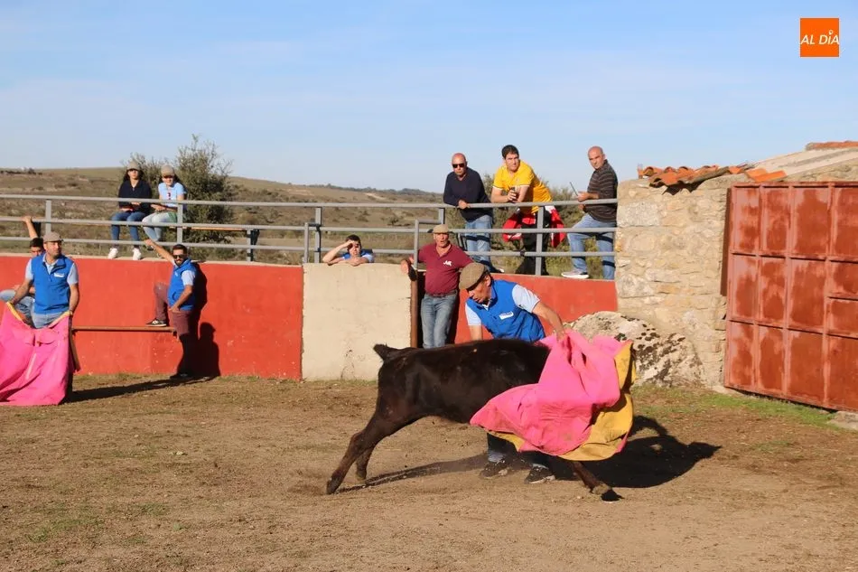 Foto 11 - La Asociaci&oacute;n Cultural Taurina de Vitigudino celebra su fiesta anual  