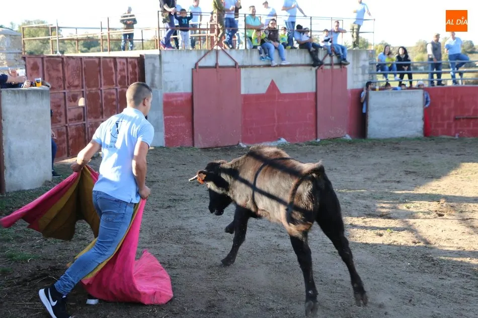 Foto 10 - La Asociaci&oacute;n Cultural Taurina de Vitigudino celebra su fiesta anual  