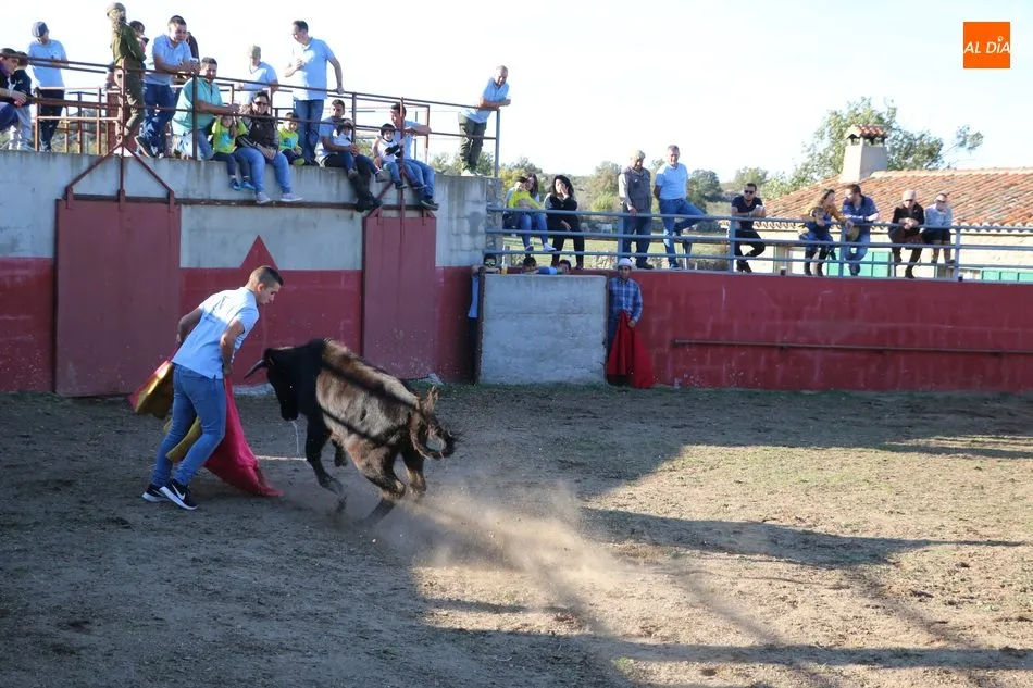Foto 9 - La Asociaci&oacute;n Cultural Taurina de Vitigudino celebra su fiesta anual  