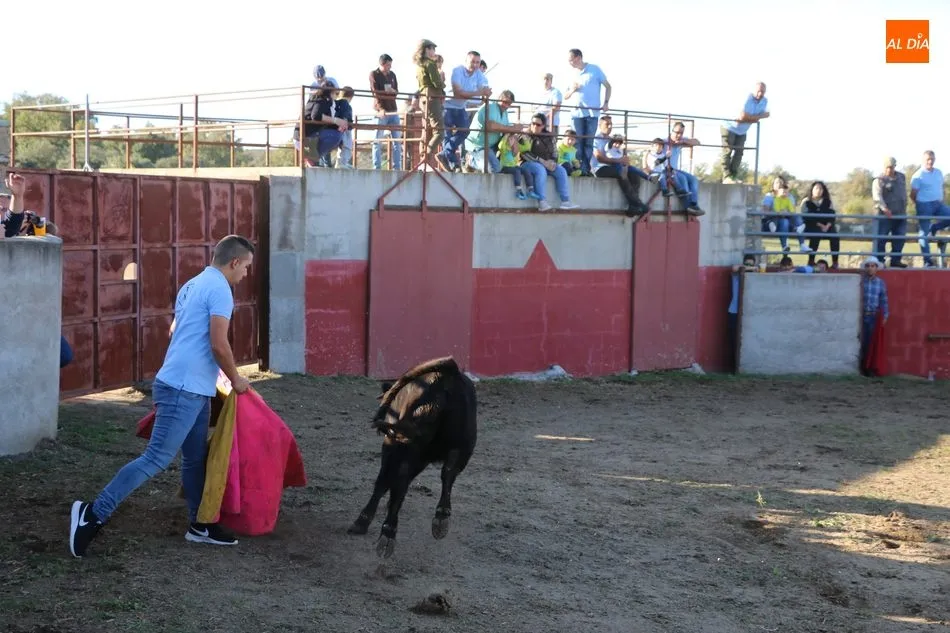 Foto 8 - La Asociaci&oacute;n Cultural Taurina de Vitigudino celebra su fiesta anual  