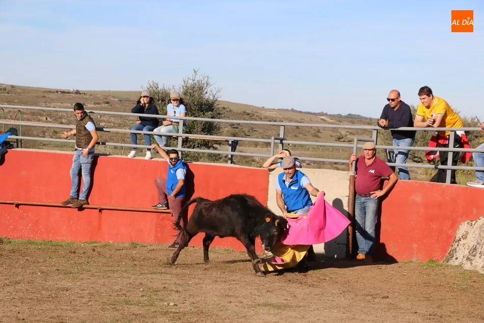 Foto 7 - La Asociaci&oacute;n Cultural Taurina de Vitigudino celebra su fiesta anual  