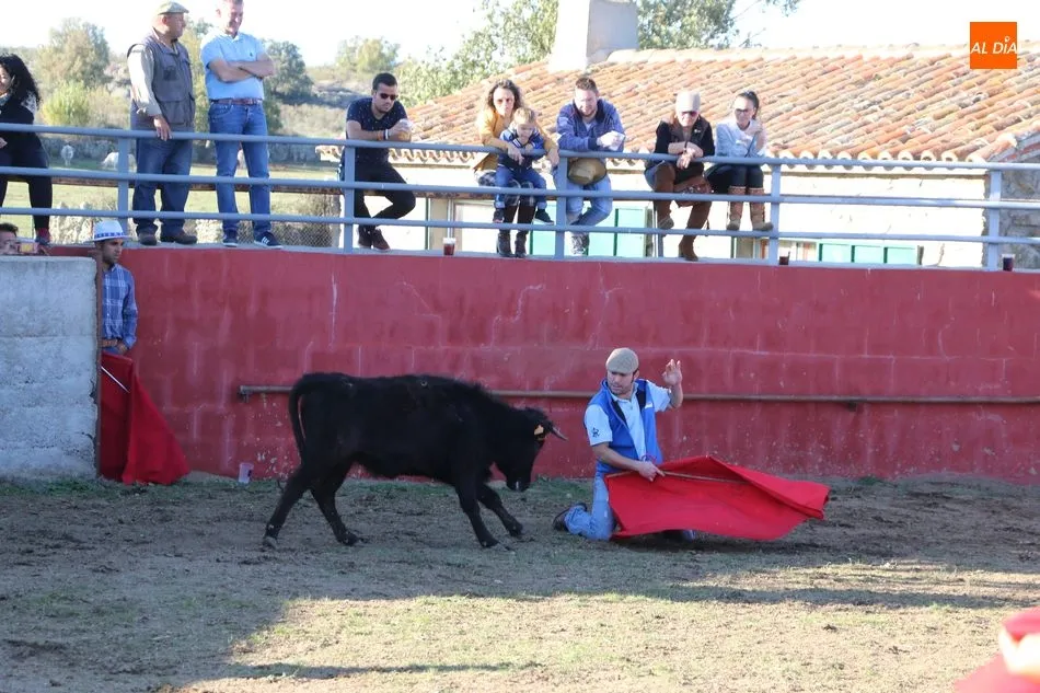 Foto 6 - La Asociaci&oacute;n Cultural Taurina de Vitigudino celebra su fiesta anual  
