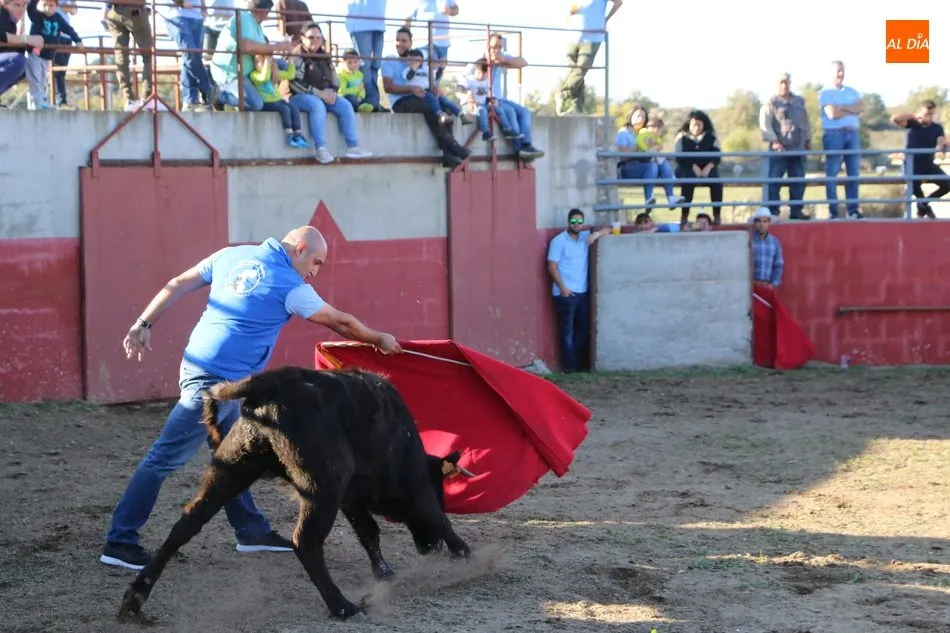 Foto 5 - La Asociaci&oacute;n Cultural Taurina de Vitigudino celebra su fiesta anual  